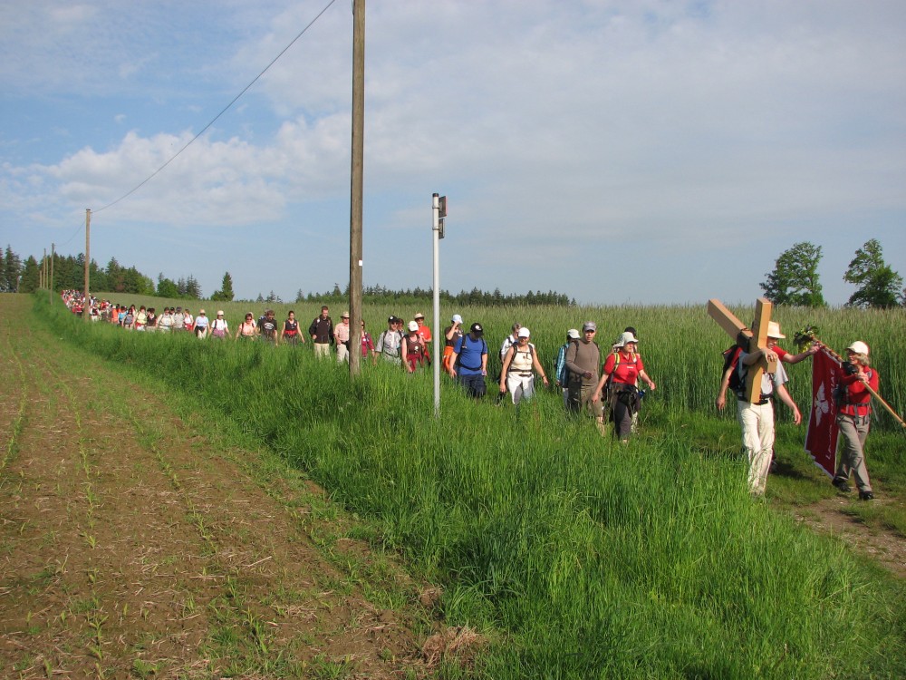 2010-0008.jpg