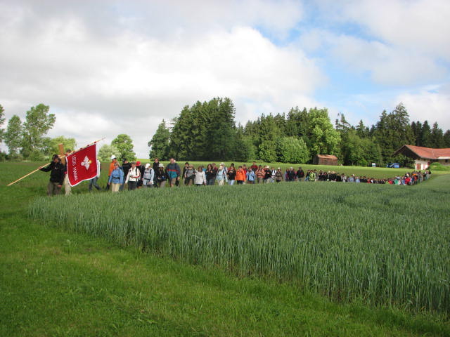 2010-0010.JPG