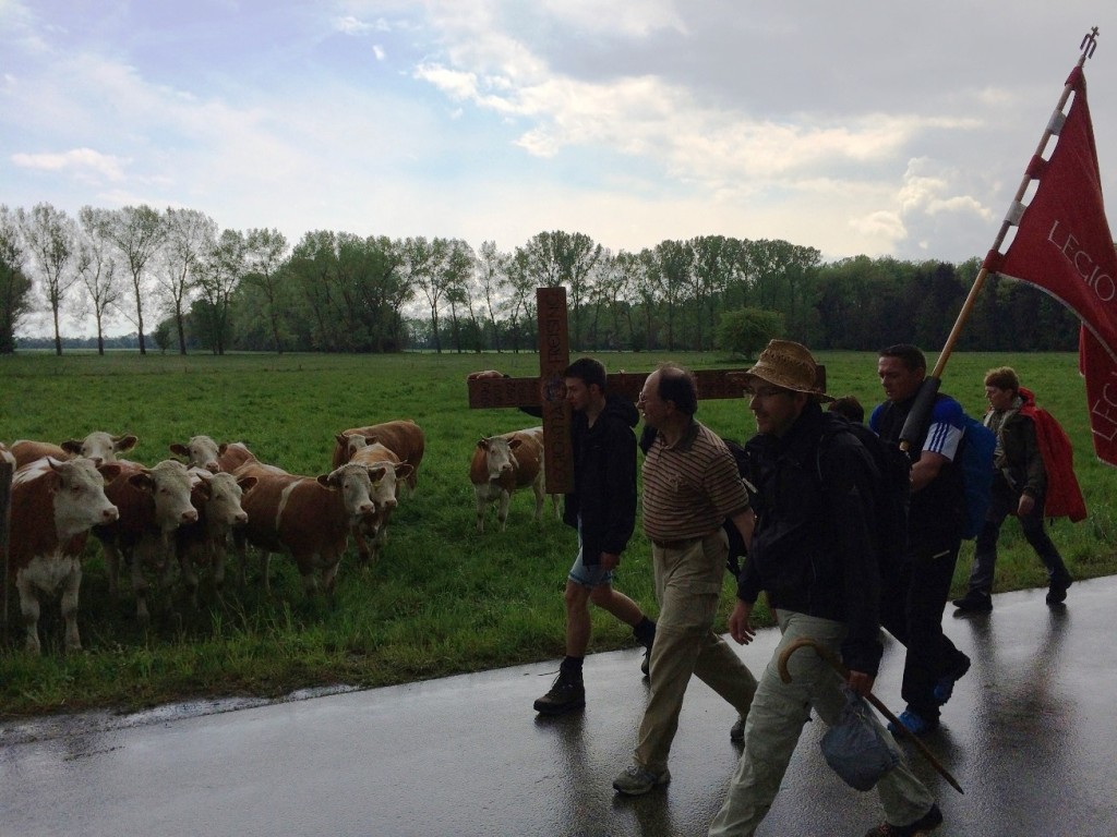 Wallfahrt 2016 b.jpg