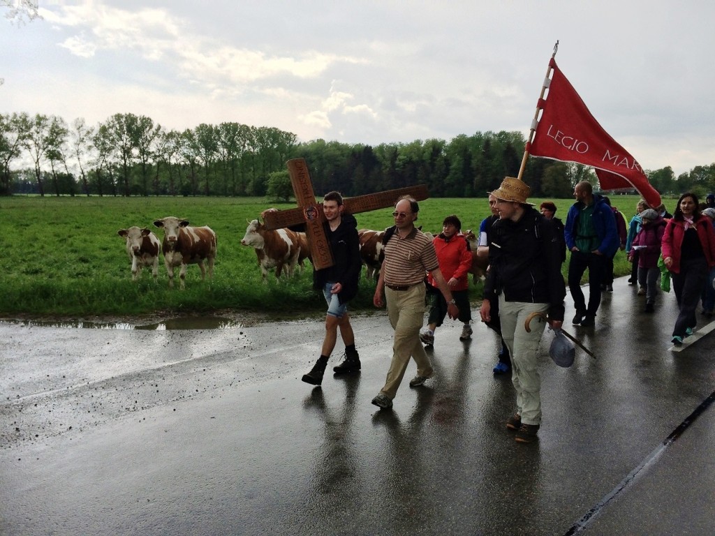 Wallfahrt 2016 c.jpg
