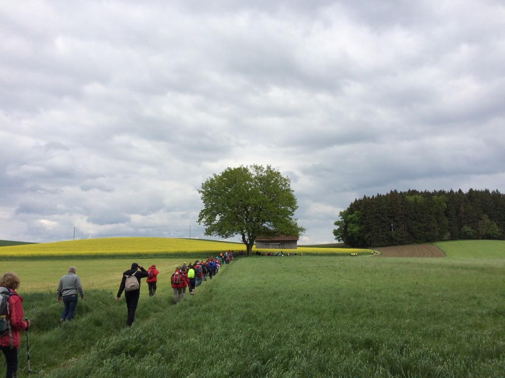 Wallfahrt 2016 h.jpg