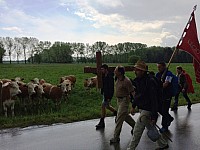 Wallfahrt 2016 b.jpg