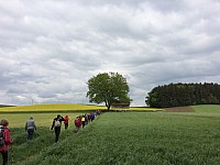 Wallfahrt 2016 h.jpg