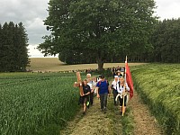 IMG_8046.jpg
